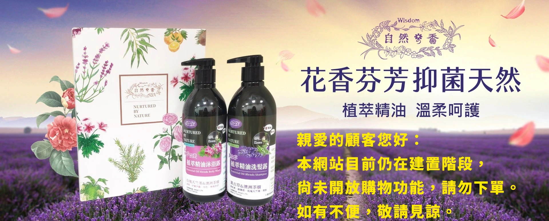 植萃精油洗髮露